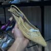 Elegant Escarpin Pour Femme